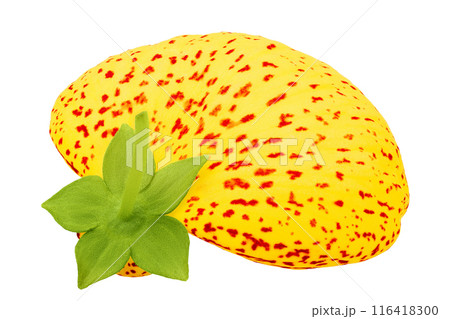 Calceolaria flower isolated on white background. Top view. Flat lay Calceolaria flower isolated on white background. Top view. Flat lay 116418300