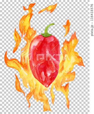 Habanero and flames, super spicy, watercolor illustration 116418376