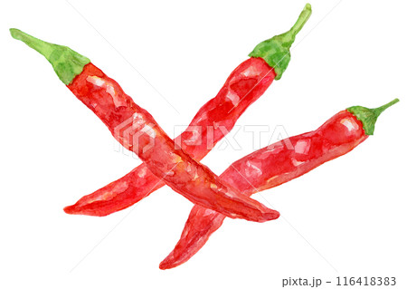 手描き水彩　唐辛子 116418383