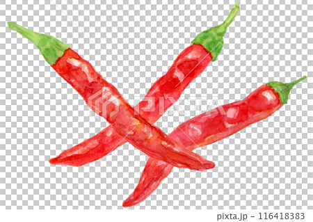 手描き水彩　唐辛子 116418383