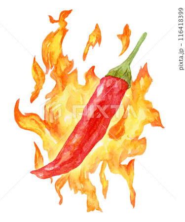 鷹の爪と炎 激辛 水彩イラスト 鷹の爪と炎 激辛 水彩イラスト 116418399