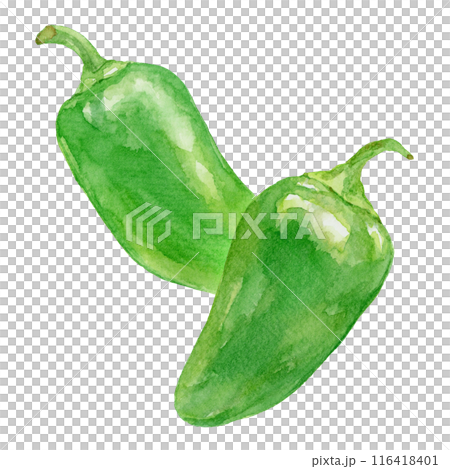 兩個墨西哥胡椒水彩插圖 116418401