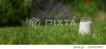 A glass of milk on a grassy lawn in a backyard, with a blurred green background. 116418461