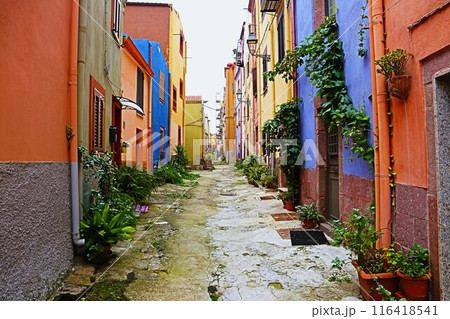 サルディーニャ、ボーザ旧市街 116418541