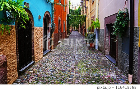 サルディーニャ、ボーザ旧市街 116418568