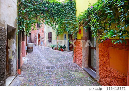 サルディーニャ、ボーザ旧市街 サルディーニャ、ボーザ旧市街 116418571