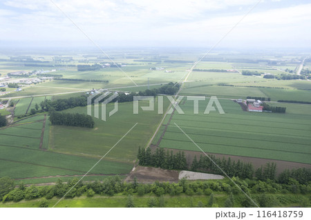 北海道 十勝平野 鹿追パーク周辺(空撮) 北海道 十勝平野 鹿追パーク周辺(空撮) 116418759