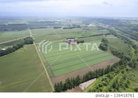 北海道 十勝平野 鹿追パーク周辺（空撮） 116418761