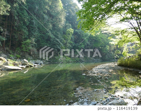 嵐山渓谷 (埼玉県嵐山町) 嵐山渓谷 (埼玉県嵐山町) 116419139