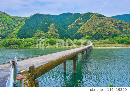 高知県四万十市の四万十川に架かる高瀬橋(高瀬沈下橋) 高知県四万十市の四万十川に架かる高瀬橋(高瀬沈下橋) 116419290