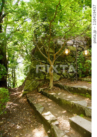 瑞龍寺跡の石段 【八幡山城址】 瑞龍寺跡の石段 【八幡山城址】 116419437