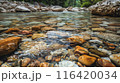 透き通る川の中の色とりどりの石 116420034