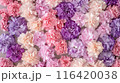 色とりどりのカーネーションの花束 116420038