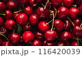 新鮮な赤いさくらんぼ 116420039