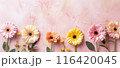 ピンクと黄色の花が並ぶ淡い背景 116420045