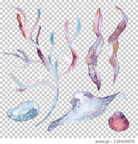 Sea life set as a stingray, seashell, seaweed, and stones in watercolor. Ocean creatures and sea plants, algae, kelp hand drawn illustration in pink and dusty blue. Marine life monochrome clipart 116420070
