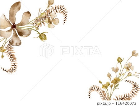 Floral in sepia monochrome watercolor on template. Flower, fern in beige color hand drawn isolated on white. Abstract plants neutral painted. Design of branding, printed products, card, invitation 116420072