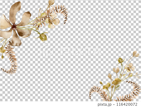 Floral in sepia monochrome watercolor on template. Flower, fern in beige color hand drawn isolated on white. Abstract plants neutral painted. Design of branding, printed products, card, invitation 116420072