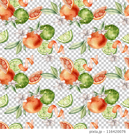 Jasmine flowers with citrus fruits grapefruit and bergamot watercolor seamless pattern isolated. Hand drawn summer plants orange and green colors in botanical sketch style for wrapping paper, textile Jasmine flowers with citrus fruits grapefruit and bergamot watercolor seamless pattern isolated. Hand drawn summer plants orange and green colors in botanical sketch style for wrapping paper, textile 116420076