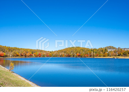 女神湖　優美な山容を水面に映す高原の湖　朝もやに覆われる早朝は神秘的　太陽を浴びる日中は爽やか 116420257