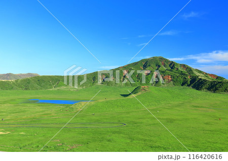 【熊本県】新緑の草千里ヶ浜（阿蘇山） 116420616