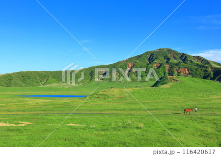 【熊本県】新緑の草千里ヶ浜（阿蘇山） 116420617