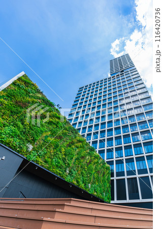 中日ビル、7階屋上広場からの眺め〈愛知県名古屋市〉 中日ビル、7階屋上広場からの眺め〈愛知県名古屋市〉 116420736