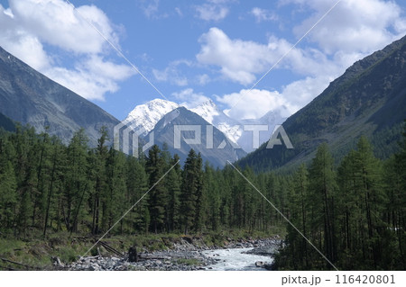 Scenic mountain river flowing through lush green valley with dense forest under clear blue sky 116420801