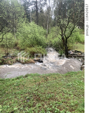 Picturesque riverside scene with lush trees and distant mountains 116420817