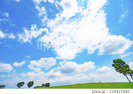 夏の青空と草原 116421692