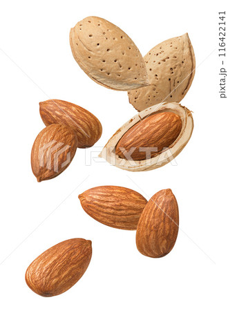 Whole and shelled almond flying isolated on white background. Vertical layout for package design Whole and shelled almond flying isolated on white background. Vertical layout for package design 116422141