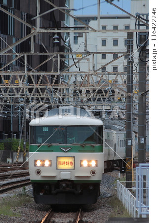 185系波動編成で運転された「谷川岳ループ」号_2024/6/9撮影 185系波動編成で運転された「谷川岳ループ」号_2024/6/9撮影 116422246