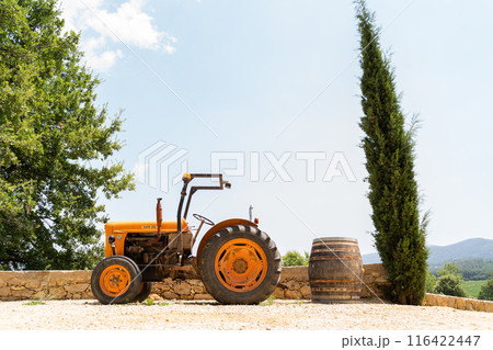 Vintage orange tractor near a barrel and tree in the tranquil countryside 116422447