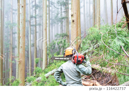 間伐作業が終了した森を眺めて自分の仕事の成果を確認している林業従事者の男性 116422737