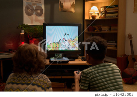 Pair of Teens Playing Video Games On TV Pair of Teens Playing Video Games On TV 116423003