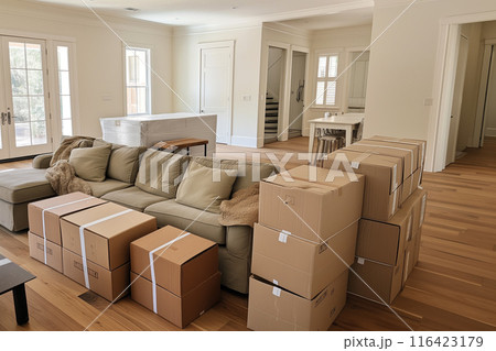 cardboard boxes in new home 116423179