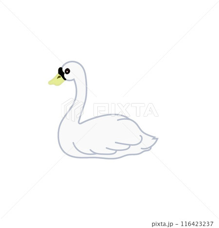 白鳥のイラスト 白鳥のイラスト 116423237