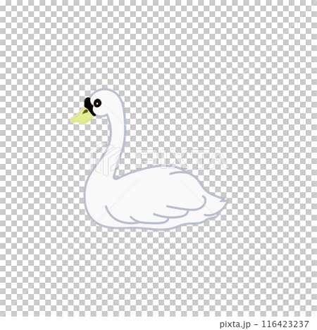 swan illustration 116423237