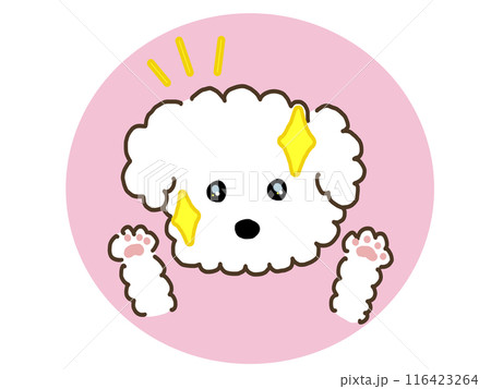 目が綺麗な犬 116423264