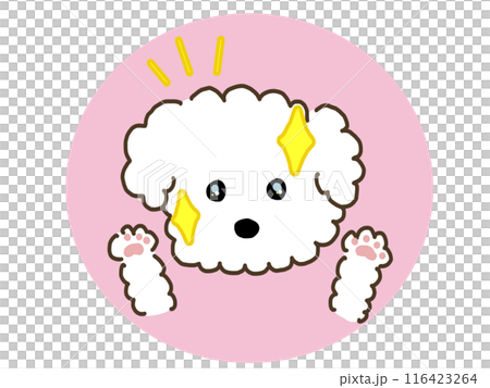 目が綺麗な犬 116423264