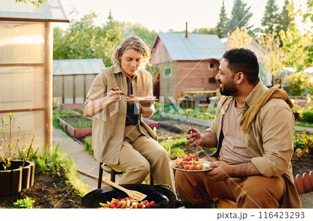 Farmers eating cooked potatoes outdoors 116423293