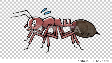 火蟻有麻煩了 116423466