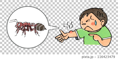 Boy bitten by fire ants 116423479