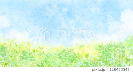 夏のお花畑と青空をイメージした背景, ふんわり優しい水彩のイラストレーション	 116423545