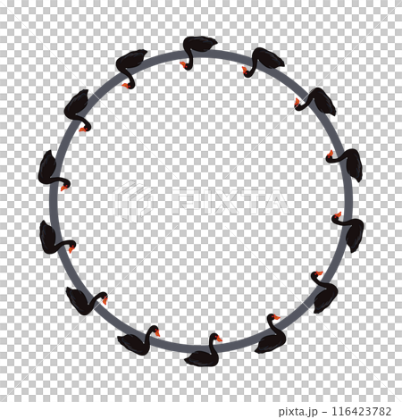 Black swan circular decorative frame illustration Black swan circular decorative frame illustration 116423782