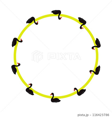 コクチョウの円形飾り枠イラスト コクチョウの円形飾り枠イラスト 116423786