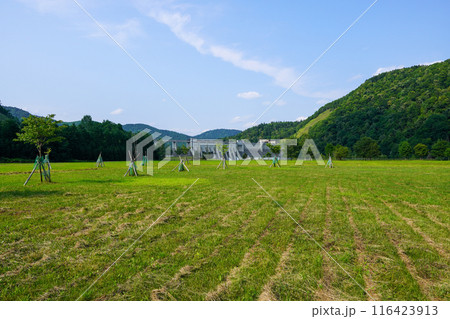 滝里ダムを滝里ダム公園から撮る。 116423913