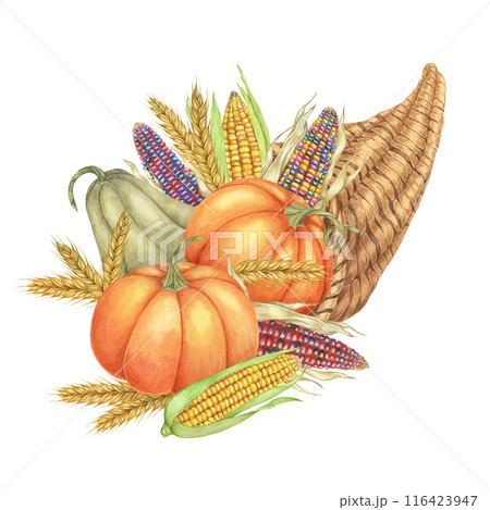 Cornucopia clipart overflowing with pumpkins, multicolored corn cobs, wheat stalks. Watercolor design element for Thanksgiving and autumn projects, greeting cards, posters, kitchen decor, scrapbooking 116423947