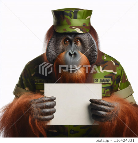 An orangutan in a job specific clothing Holding up an empty sign isolated on a clear white background An orangutan in a job specific clothing Holding up an empty sign isolated on a clear white background 116424331