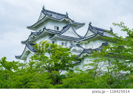 三重県 梅雨の雨上がりの伊賀上野城 三重県 梅雨の雨上がりの伊賀上野城 116425014